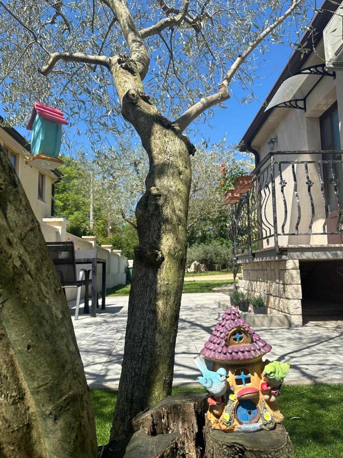 Apartment Nina With Private Pool Nova Vas  외부 사진